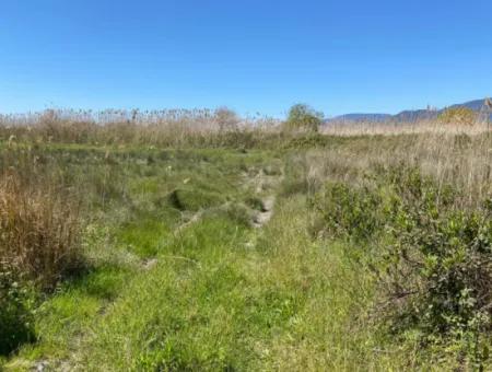 9310M2 Land For Sale In Dalyan