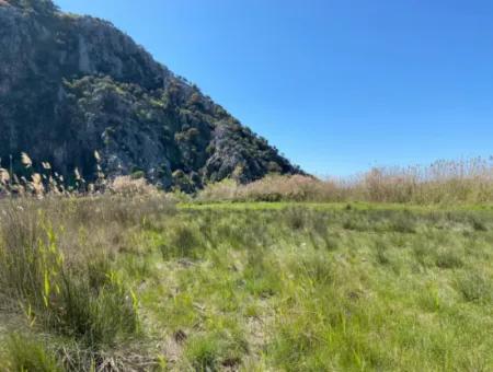 9310M2 Land For Sale In Dalyan