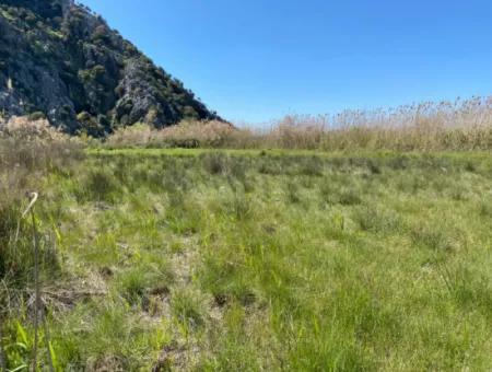9310M2 Land For Sale In Dalyan