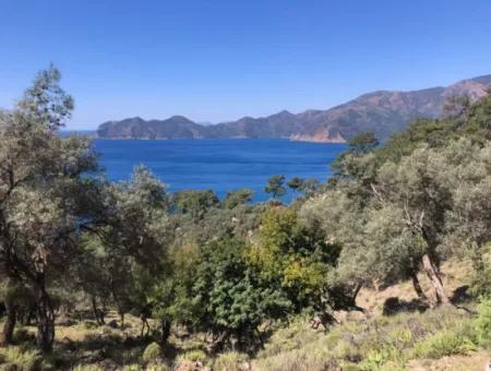 Land For Sale With Sea View In Çandir