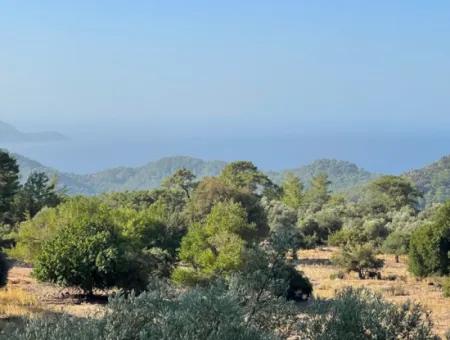2620M2 Land Field For Sale With Sea View Of Çandir