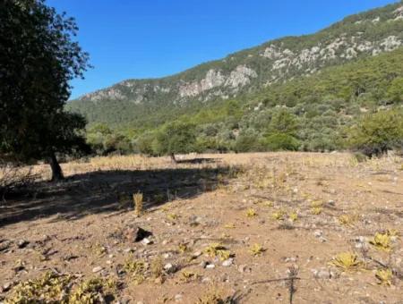 2620M2 Land Field For Sale With Sea View Of Çandir