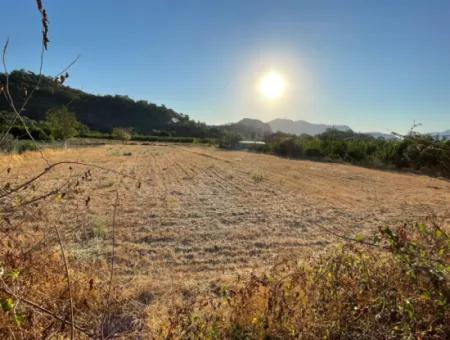 2000M2 Land For Sale In The Built-Up Area Of Çandir Village