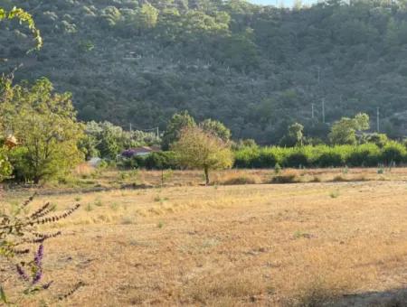 2000M2 Land For Sale In The Built-Up Area Of Çandir Village