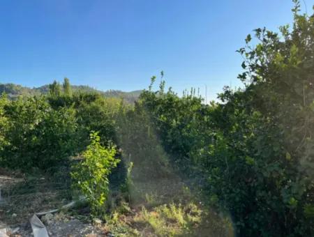 Garden For Sale With Views Of Çandir Lake