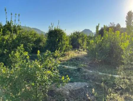 Garden For Sale With Views Of Çandir Lake