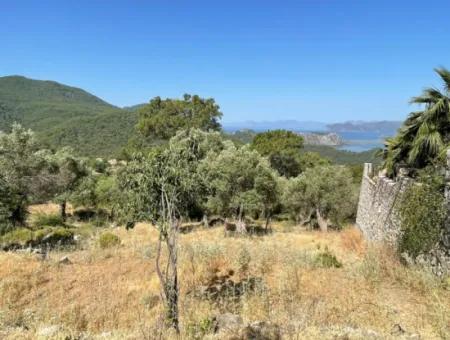 Land For Sale With Sea View In Gokbel