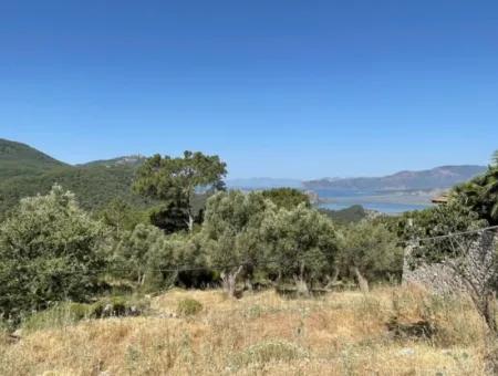 Land For Sale With Sea View In Gokbel