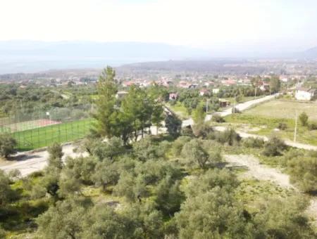 6 2 Villas For Sale In 2,500M2 Land In Zeytinalan