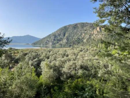 6,821M2 Village House For Sale With Views Of Çandir Lake