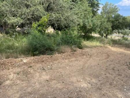Land For Sale In Ula Armutchuk With 501M2 Zoning