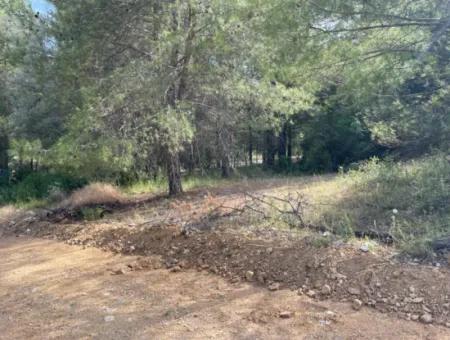 Land For Sale In Ula Armutchuk With 501M2 Zoning