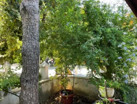 5 1 Villa For Sale In The Center Of Dalyan