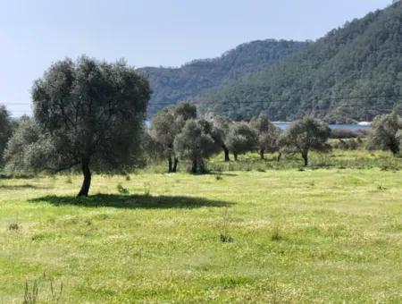 3250M2 Land For Sale In Ekincik With A View Near The Sea