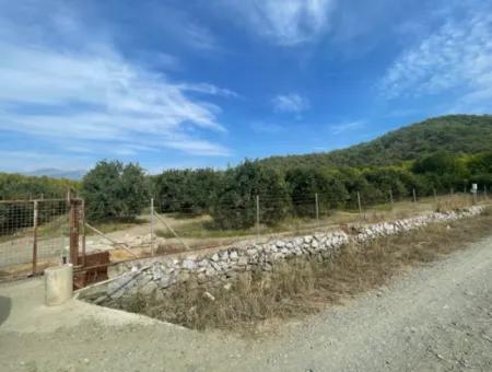 4000M2 Land For Sale Zoned In Village Built-Up Area In Tepearasin