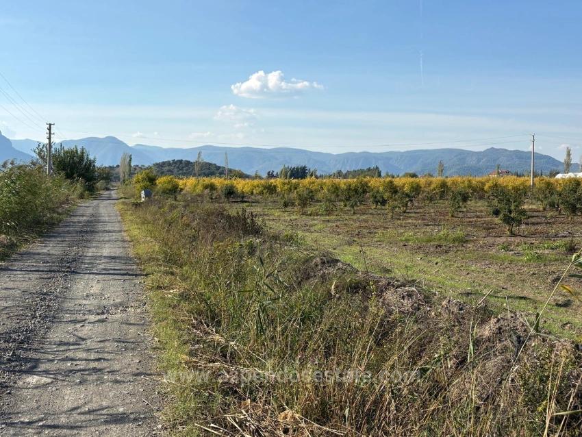 Гранатовый Сад Площадью 21500 М2 На Продажу В Эскикёе