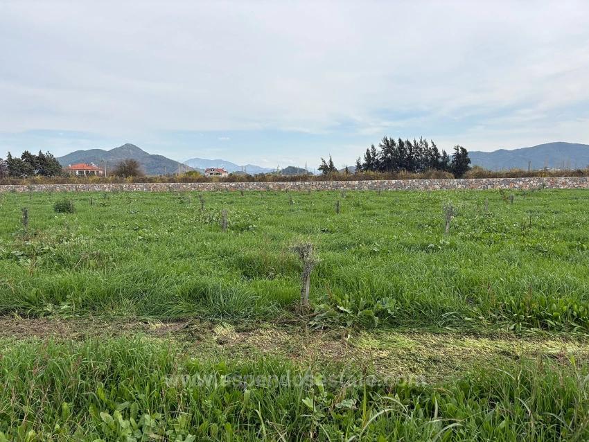 Земельный Участок И Дом Площадью 19 663 М² В Эскикёе.