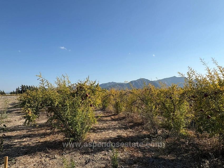 Земельный Участок И Дом Площадью 19 663 М² В Эскикёе.