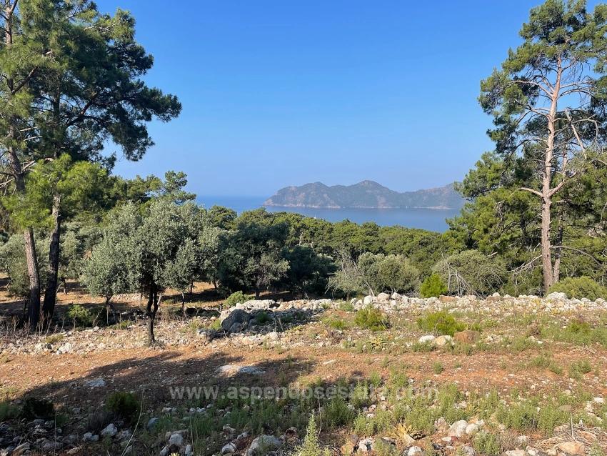 Выгодная Земля На Продажу С Видом На Море В Районе Экинджик-Чандыр.