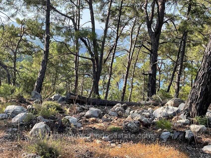 Выгодная Земля На Продажу С Видом На Море В Районе Экинджик-Чандыр.