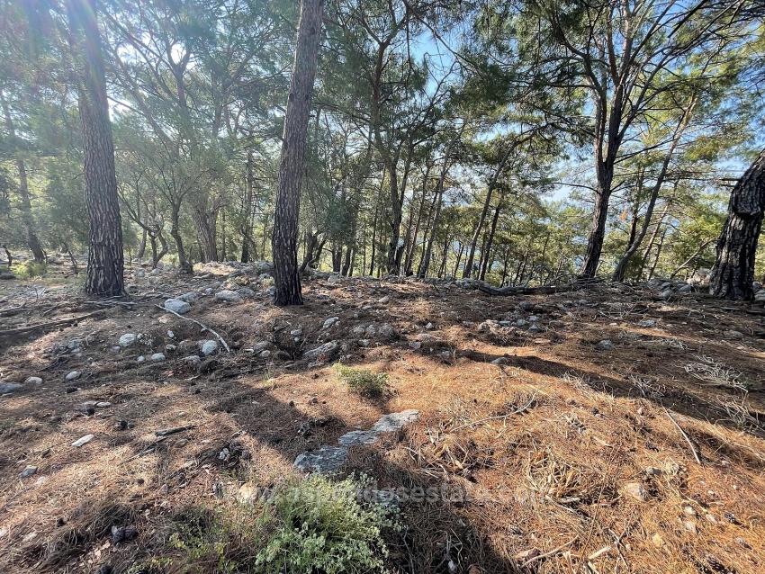 Выгодная Земля На Продажу С Видом На Море В Районе Экинджик-Чандыр.