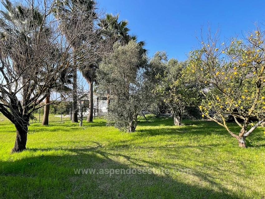 Продается Отдельно Стоящий Одноэтажный Дом На Участке Площадью 2882 М2 В Городе Эскикёй.