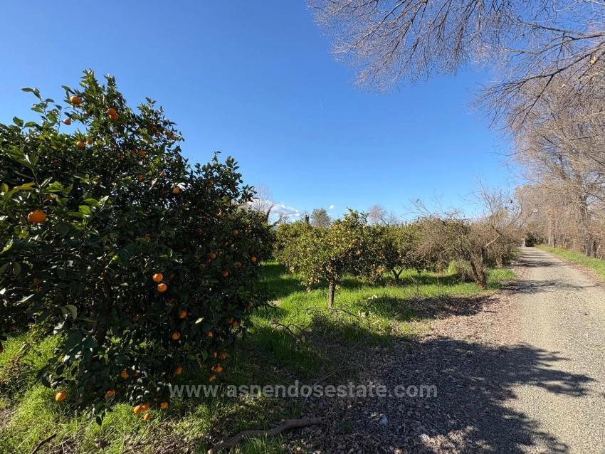 Продается Земельный Участок Площадью 4326 М² В Жилом Районе Окчулар.