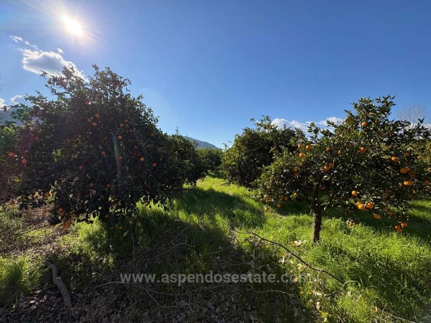 Продается Земельный Участок Площадью 4326 М² В Жилом Районе Окчулар.