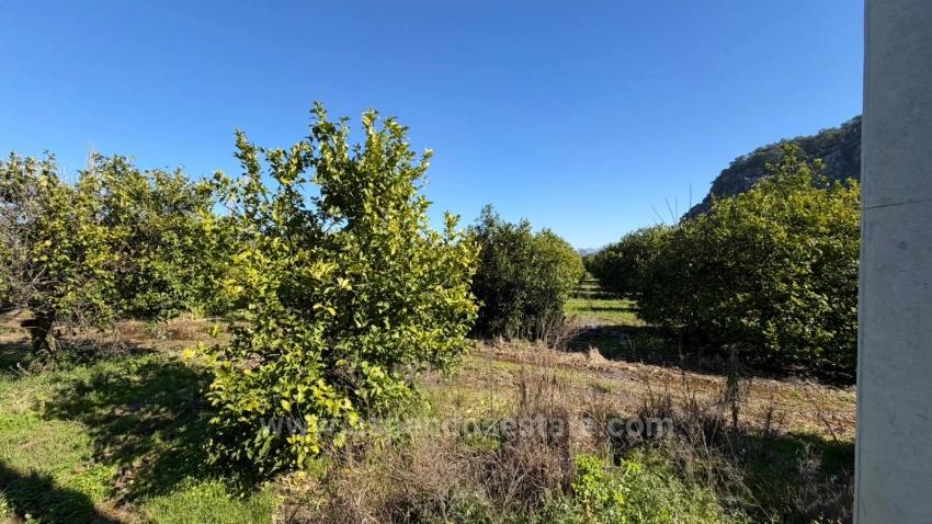 Продается Земельный Участок Площадью 2 218 М² В Окчуларе, Мармарис.