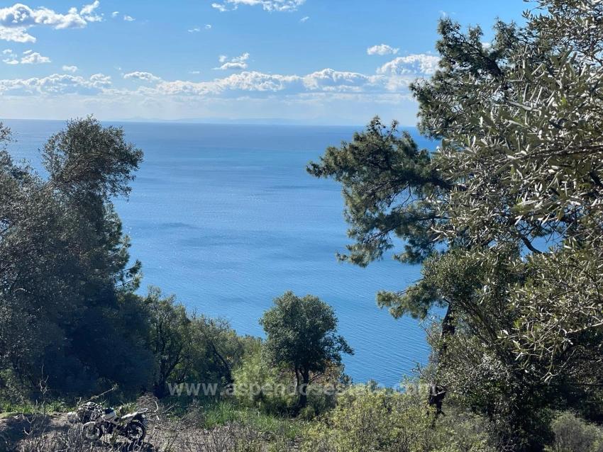 Чандыр 20.000M2 2B С Полным Видом На Море На Продажу