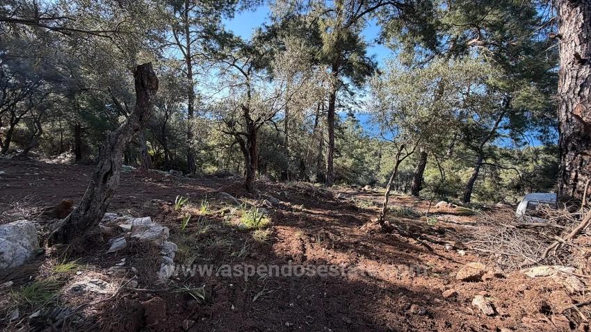 Поле 2B Площадью 5715 М2 С Панорамным Видом На Море В Чандыре