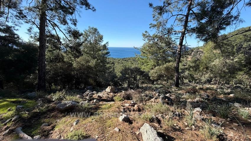 Поле 2B Площадью 5715 М2 С Панорамным Видом На Море В Чандыре