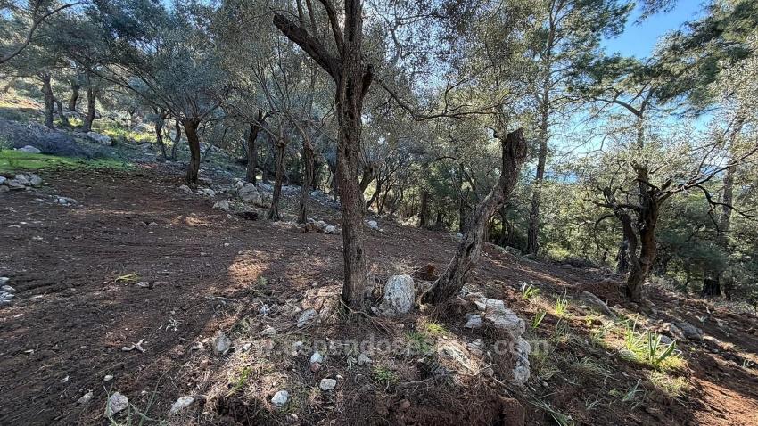 Поле 2B Площадью 5715 М2 С Панорамным Видом На Море В Чандыре