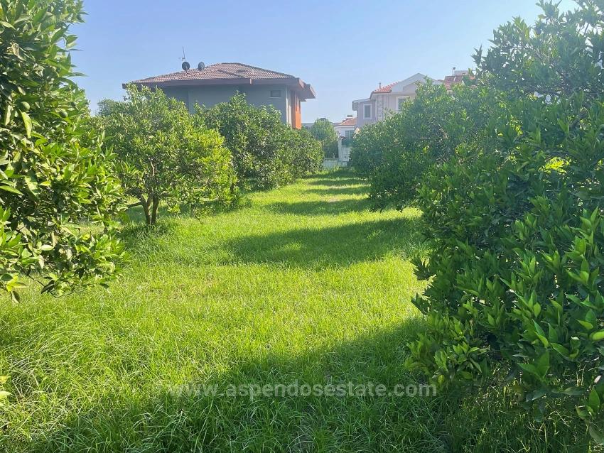 Земля 722М2 На Продажу В Дальян Гюльпынар