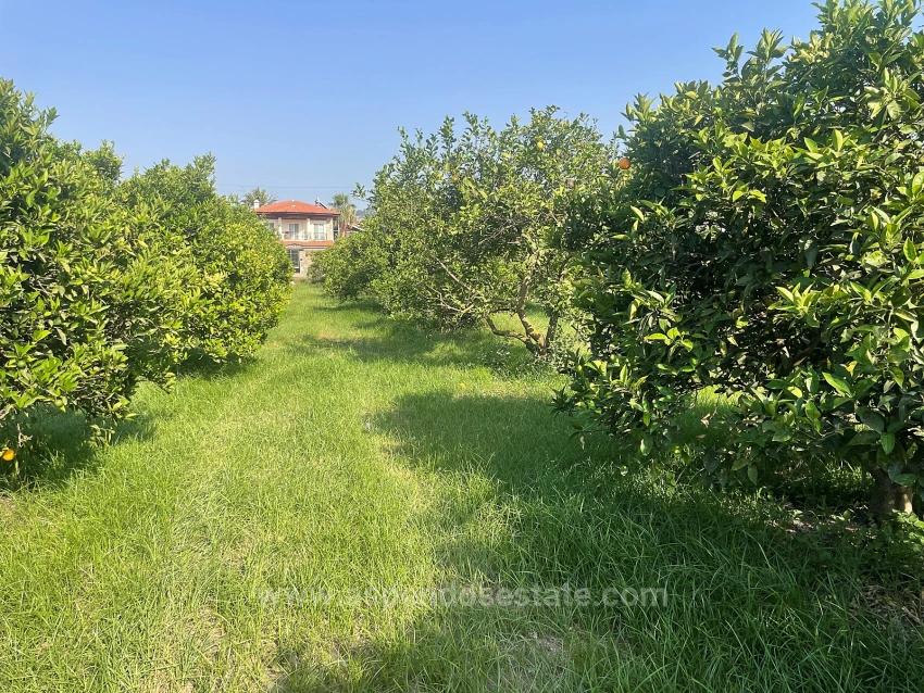 Земля 722М2 На Продажу В Дальян Гюльпынар