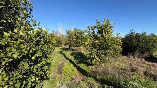 Продается Земельный Участок Площадью 2 218 М² В Окчуларе, Мармарис.