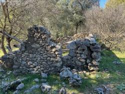 Продается Земельный Участок В Гёкбеле, В Окружении Природы И Леса.