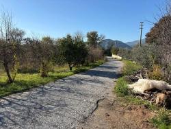 Продается Сад Площадью 4541 М² В Дальяне.