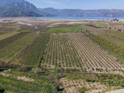 Гранатовый Сад Площадью 16.710 М2 На Продажу С Видом На Озеро В Эскикёй