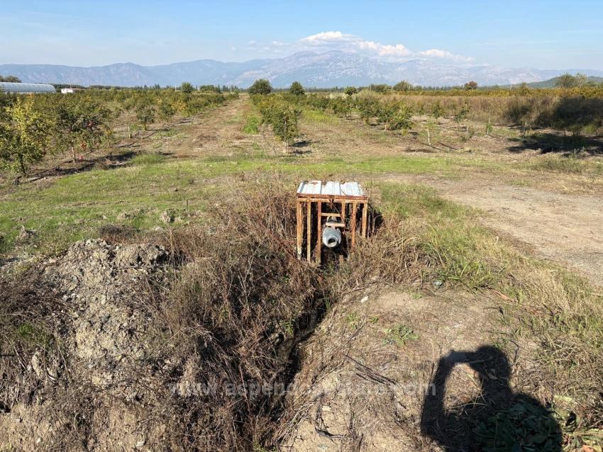 Eskiköy'de 21500M2 Satılık Nar Bahçesi