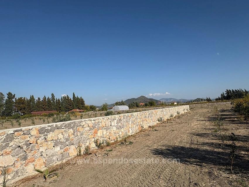 Eskiköy'de 19.663M2 Çiftlik Arazisi Ve Ev