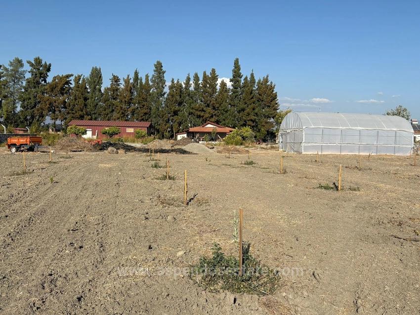 Eskiköy'de 19.663M2 Çiftlik Arazisi Ve Ev