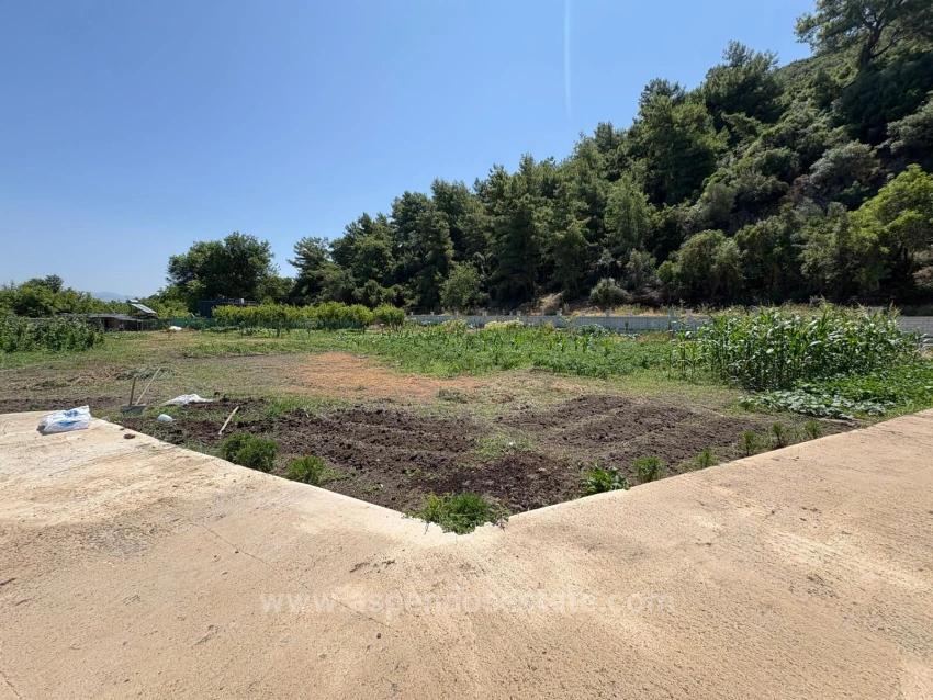 Dalyan Karadağ Mevkiinde 2500M2 Tarla İçerisinde 120M2 Müstakil Ahşap Ev