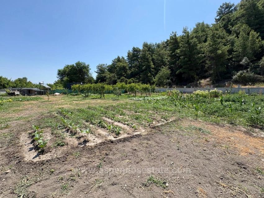 Dalyan Karadağ Mevkiinde 2500M2 Tarla İçerisinde 120M2 Müstakil Ahşap Ev