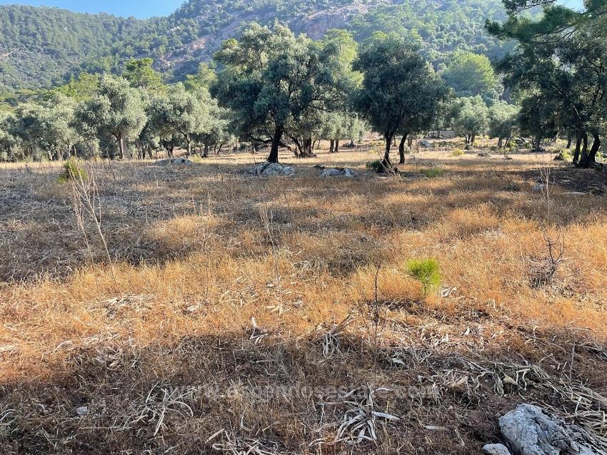 Ekincik Çandır Arasın'da Deniz Manzaralı Kelepir Emlak Satılık Arsa