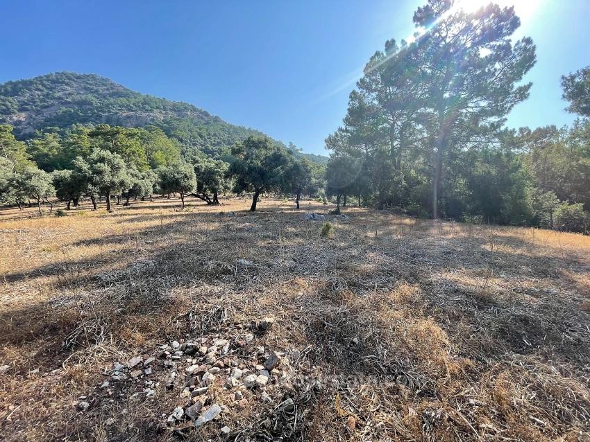 Ekincik Çandır Arasın'da Deniz Manzaralı Kelepir Emlak Satılık Arsa