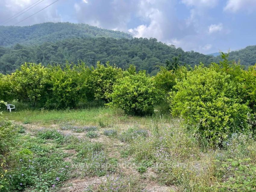 Gökbel'de İztuzu Plajı Yoluna Sıfır 7800M2 Satılık Arazi