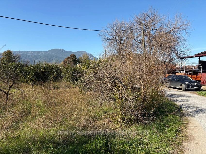 Dalyan'da 4.541M2 Satılık Bahçe