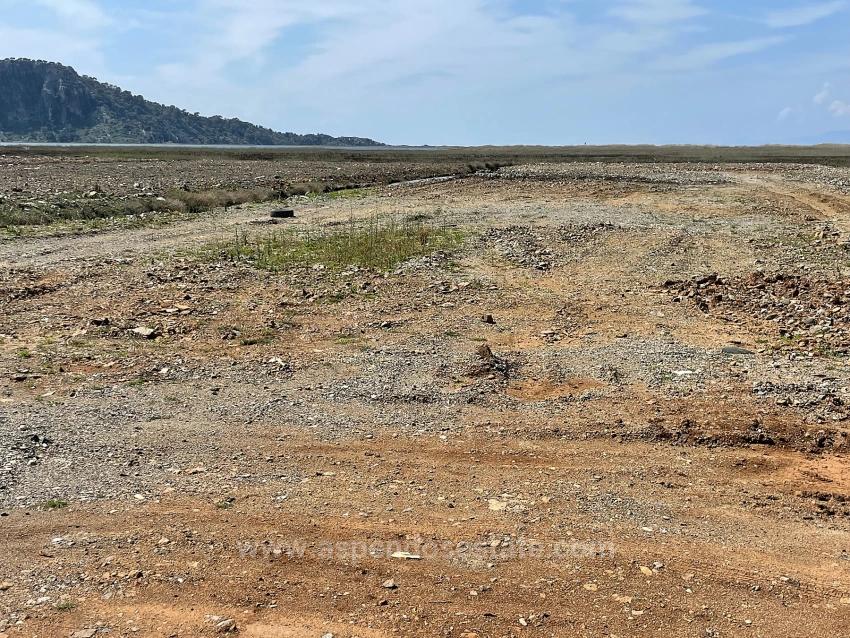 Dalyan İztuzu Plaj Yoluna Sıfır 19.600M2 Satılık Tarla