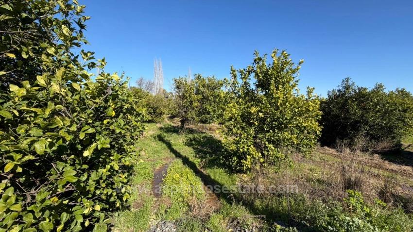 Okçular Marmarlı'da 2.218M2 Satılık Arsa